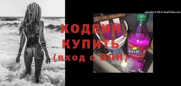 ГАЛЛЮЦИНОГЕННЫЕ ГРИБЫ Горно-Алтайск