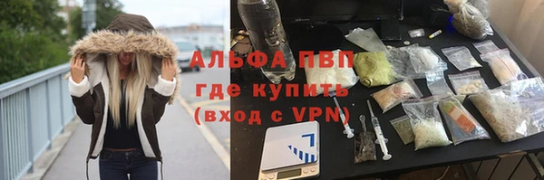 ГАЛЛЮЦИНОГЕННЫЕ ГРИБЫ Горно-Алтайск