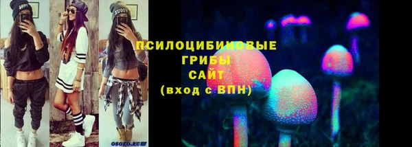 ГАЛЛЮЦИНОГЕННЫЕ ГРИБЫ Горно-Алтайск
