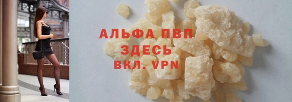 ГАЛЛЮЦИНОГЕННЫЕ ГРИБЫ Горно-Алтайск