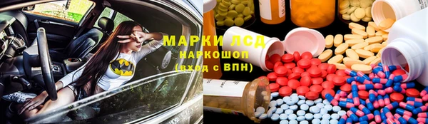 ГАЛЛЮЦИНОГЕННЫЕ ГРИБЫ Горно-Алтайск