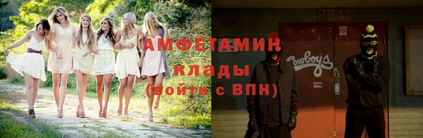 ГАЛЛЮЦИНОГЕННЫЕ ГРИБЫ Горно-Алтайск