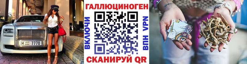 Псилоцибиновые грибы Psilocybine cubensis  Купить  Кукмор 