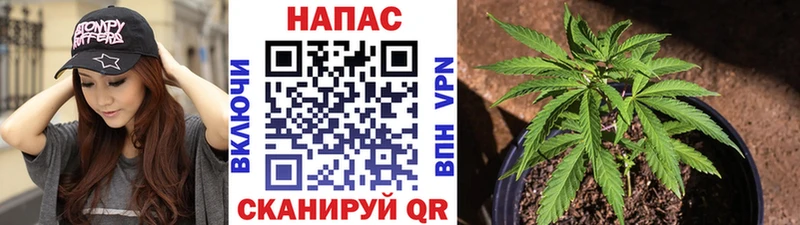 Купить закладки  Кукмор  Конопля SATIVA & INDICA 
